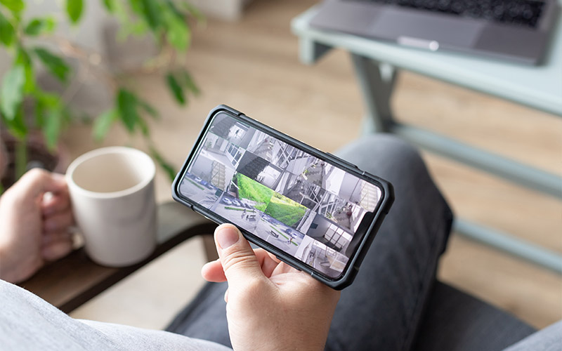 Installazione e assistenza impianti di allarme Massagno